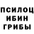 Псилоцибиновые грибы Cubensis Prasanna Akodiya