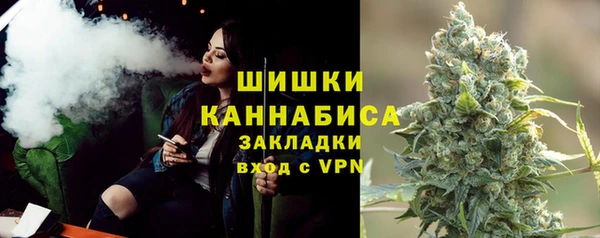 ALPHA PVP Каменка