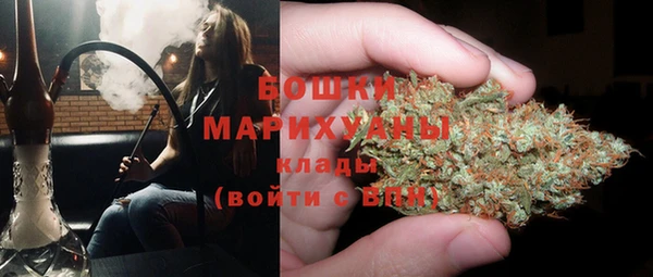 ALPHA PVP Каменка