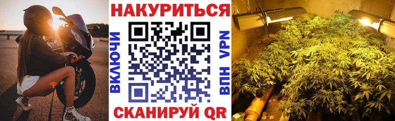 Купить закладки  Снежинск  Бошки марихуана сатива 